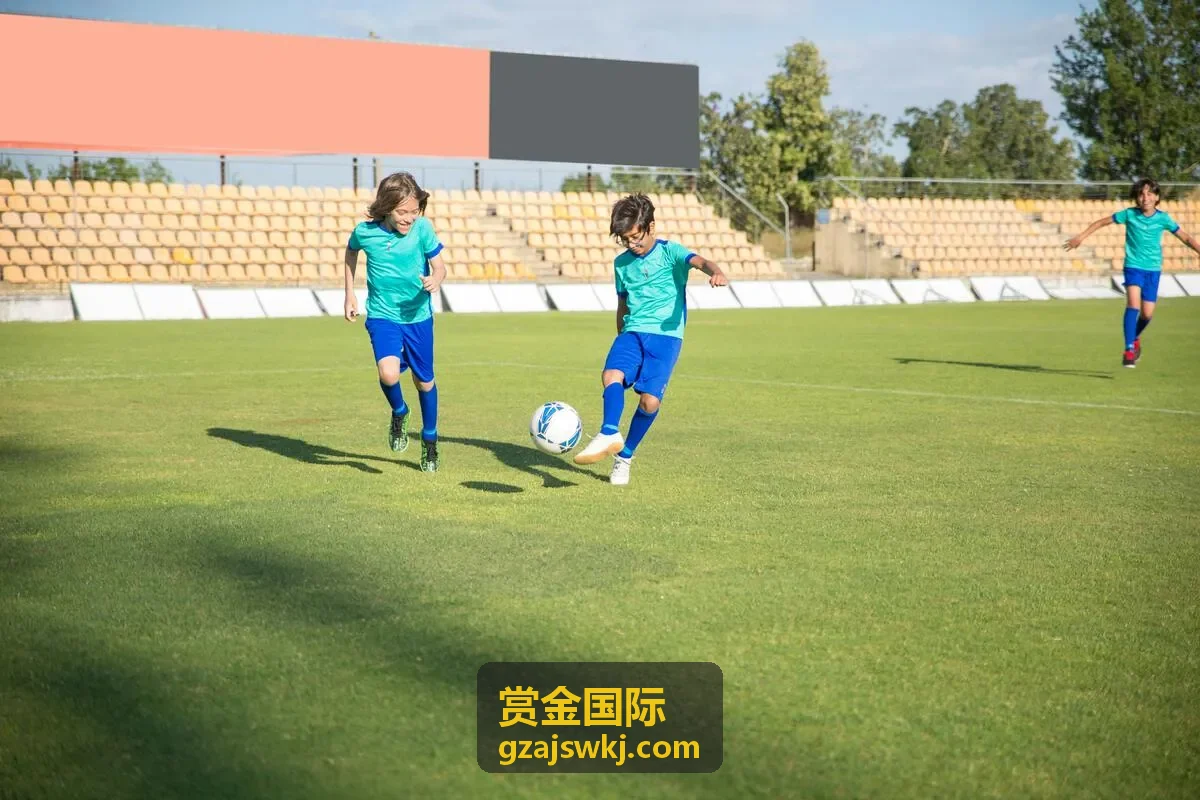 赏金国际欧洲科技并购标的