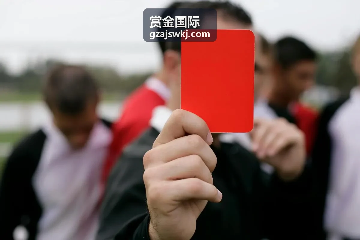 赏金国际商机洞察服务